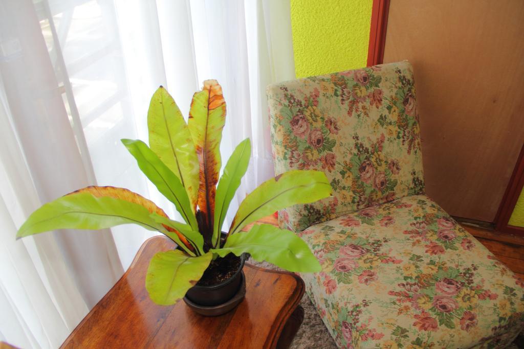 Hostal Benavente Puerto Montt Eksteriør billede